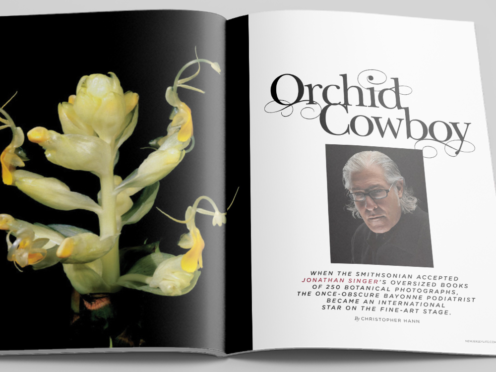 NJL-orchid-title